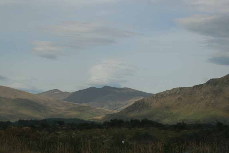 Nieuw-Zeeland 2011 - 1653